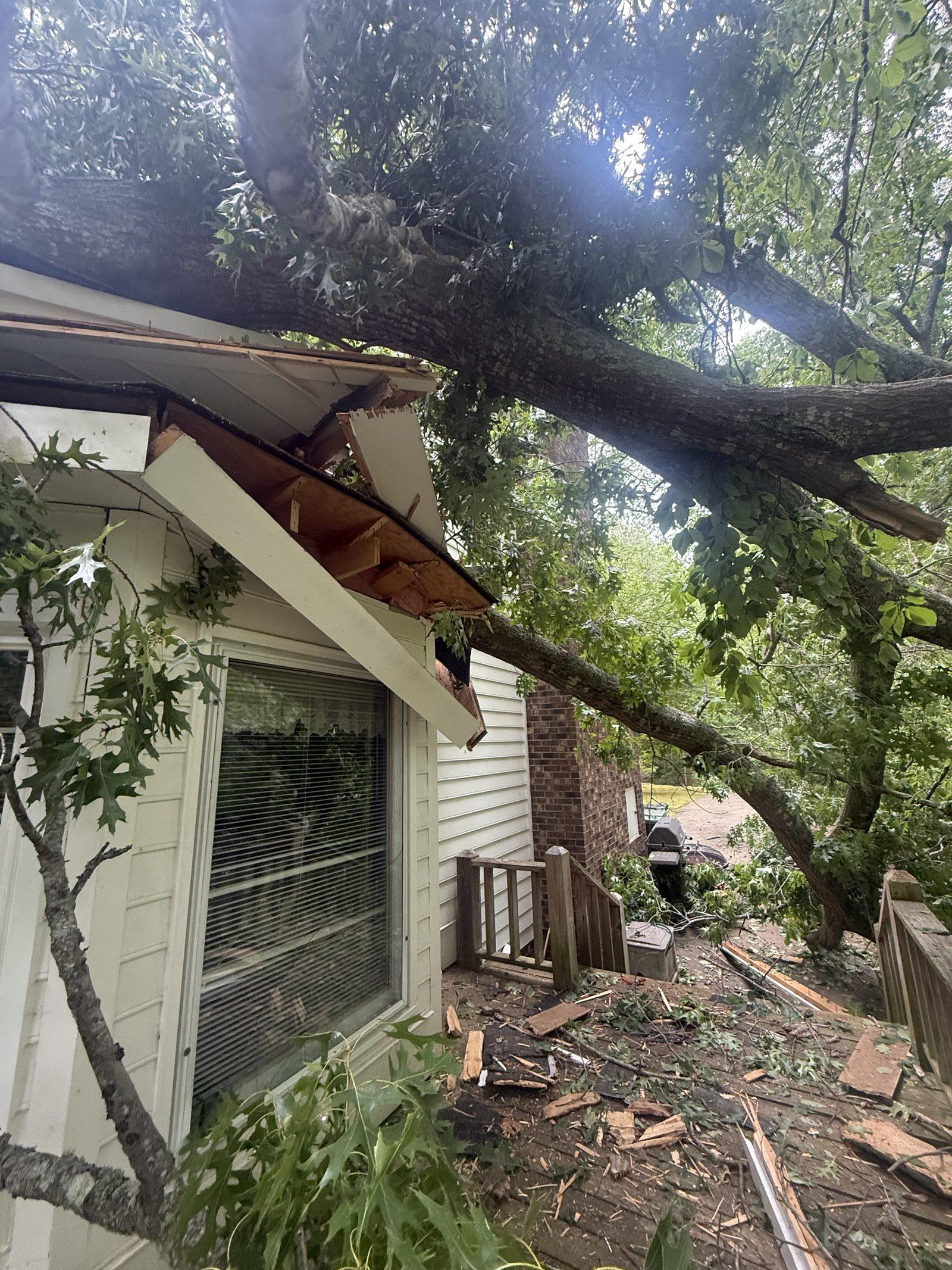 The trunk driven through the roof beside a window, with broken framing and debris below