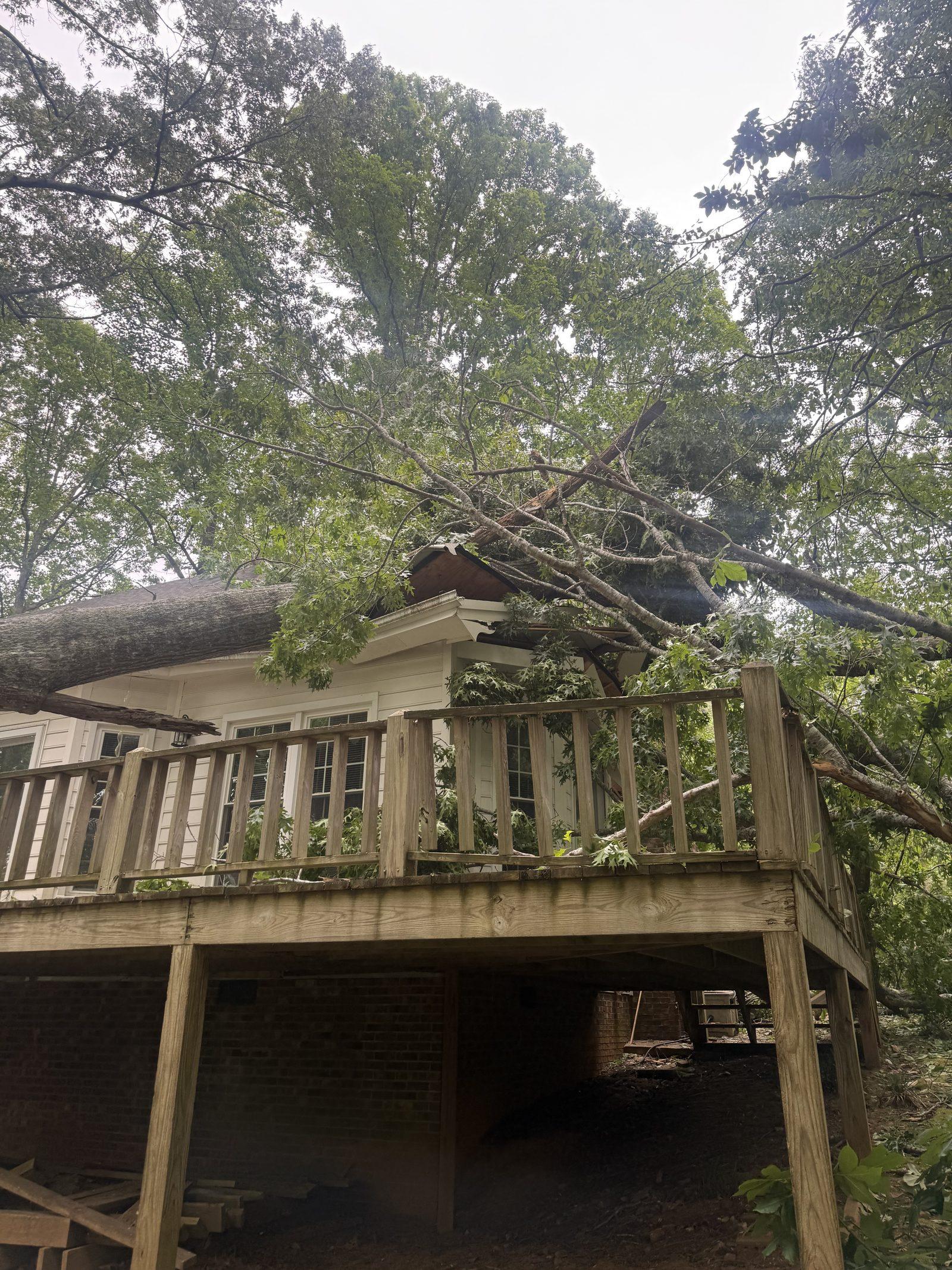 A mature tree resting across the rear roof and deck of the house after coming down in the storm